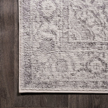 Kelly rosalia Cottage Medallion Area Rug